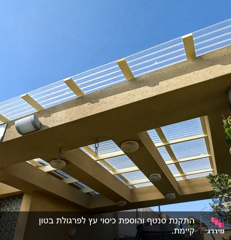 גג פרגולה עם צמחים תלויים ופרחים צבעוניים